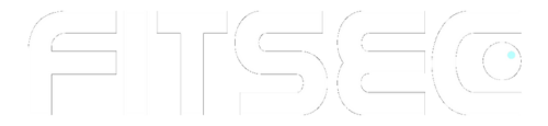 Silver colored text logo containing word Fitsec
